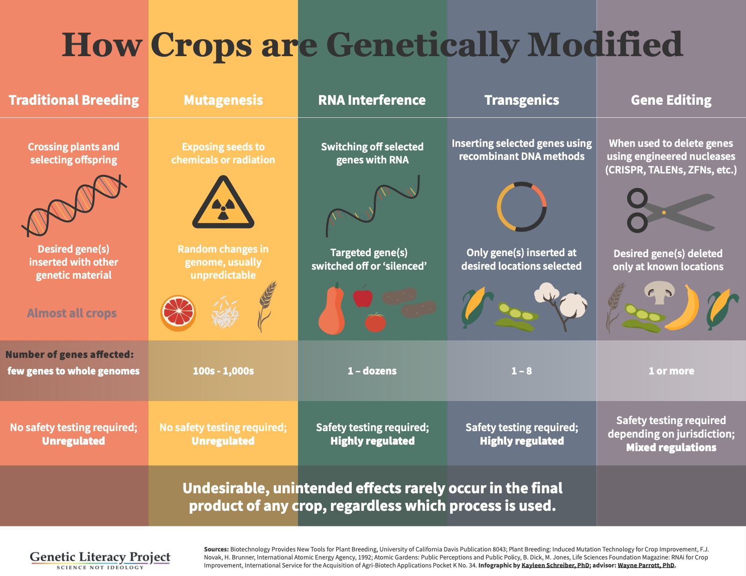 Are Genetically Modified Foods Safe? - Dance Nutrition